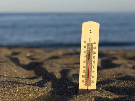 More Than 1,300 Deaths in Europe in One Week Due to Heat Wave: WHO Sounds the Alarm