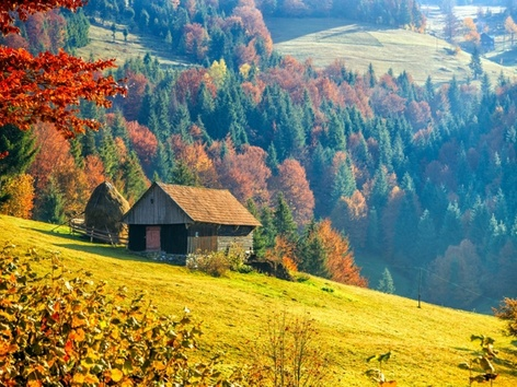 Autumn tours in Ukraine: Incredible vacation in the Carpathians