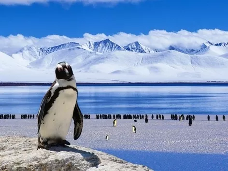 Тур в Антарктиду: интересные факты о путешествии от украинских полярников