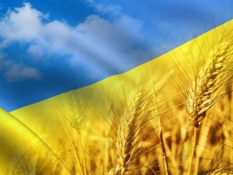 31-й День Независимости Украины: как отмечаем?