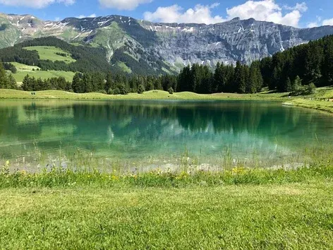 Visit Ukraine te invita a unas vacaciones de tour: Alrededor de los Cárpatos en 7 días