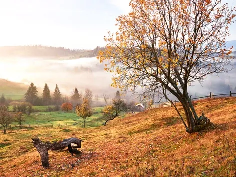 Vor- und Nachteile von Herbstferien in den Karpaten 2025: Was Sie wissen sollten, wohin Sie gehen und wie Sie sich vorbereiten
