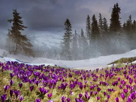Gemeinsam zu neuen Erfahrungen: Visit Ukraine und Visit starten noch mehr Touren durch die Ukraine