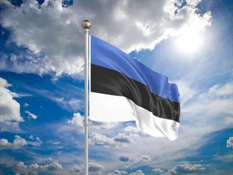 Assicurazione per l'ingresso in Estonia: chi ne ha bisogno, regole per ottenerla per diverse categorie di visti e dove acquistarla