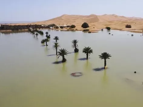 The Sahara flooded for the first time in half a century: what does this mean and what are the consequences?