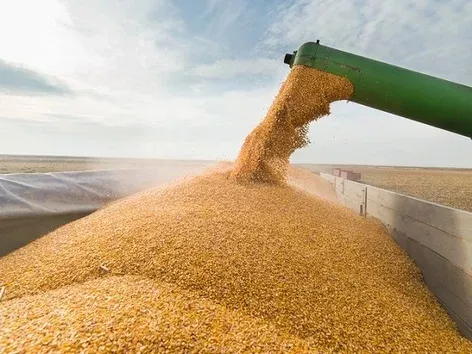 World Food Safety Day: how much food has russia exported from Ukraine