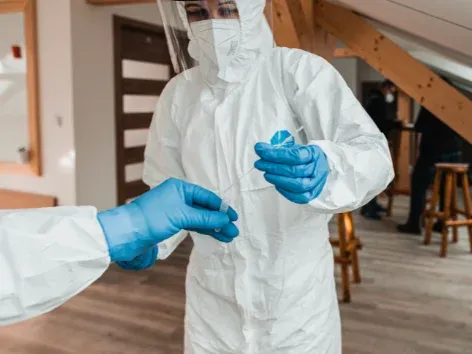 Hantavirus: Was muss man über diese Krankheit wissen und ist mit einer neuen Pandemie zu rechnen?