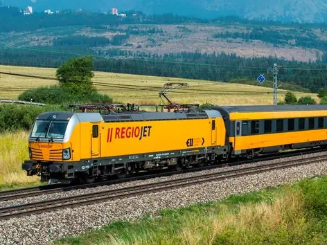 Fines up to 5000 euros for passengers of the Chop-Prague train: the main reasons