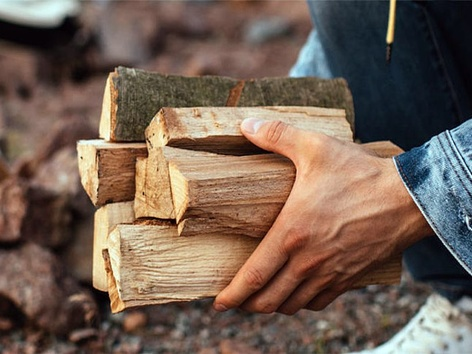 Where to buy firewood? In Ukraine, the state-owned Internet store DrovaE has started operating
