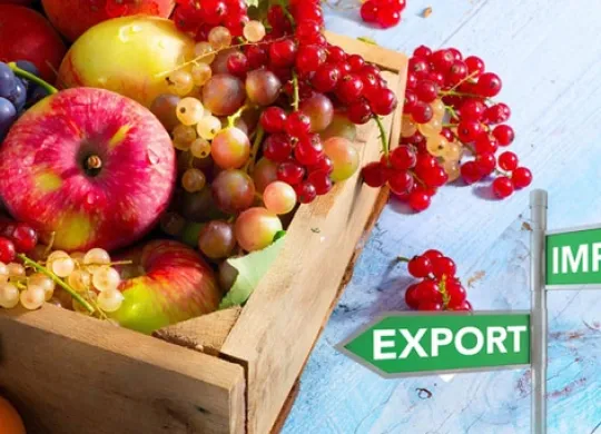 What products can be exported from Ukraine abroad in 2025: important details