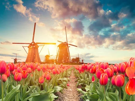 Travel to Ukraine from the Netherlands in 2024: entry rules and convenient routes