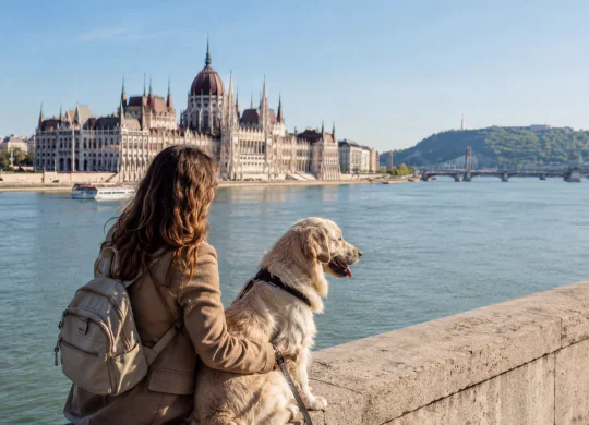 Urlaub mit Hund in Budapest: Die besten Orte für Spaziergänge und tierfreundliche Locations