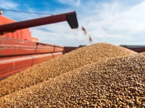 Why has Ukrainian grain become a problem for Europe?