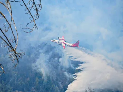 In den Karpaten wütet ein Großbrand, der außer Kontrolle geraten könnte: Was Touristen wissen müssen