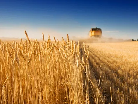Які неочевидні наслідки для України та світу матиме вихід росії із зернової угоди та хто ще виступив проти експорту українського зерна?