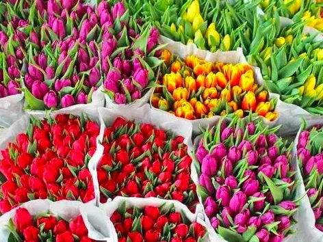 Qué regalar el 8 de marzo: ideas de regalos que seguro agradarán