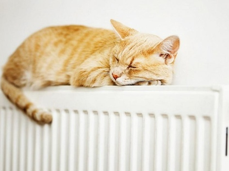 The heating can be turned off for several days or weeks: will Kyiv really remain without heat in winter