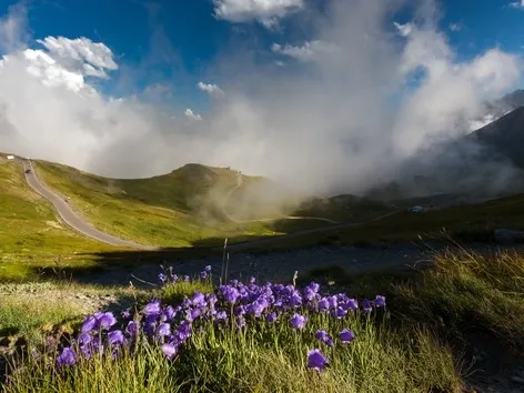 Wohin im Frühling in der Ukraine: Top-Reiseziele und Touren für Ihre Reise