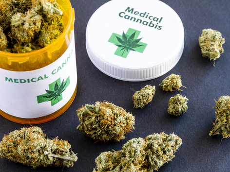 The government has supported the legalization of medical cannabis: why it matters