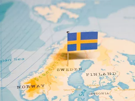 Sweden will simplify the rules for issuing EU blue cards: what will change?