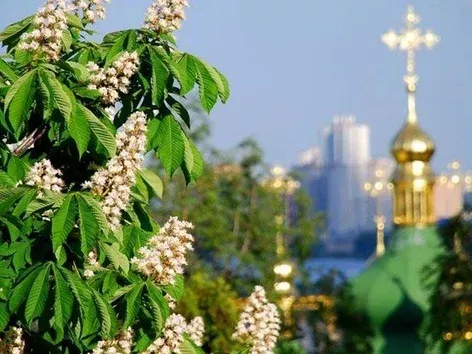 Chestnuts, an archangel and a cake: the main symbols of Kyiv and their history