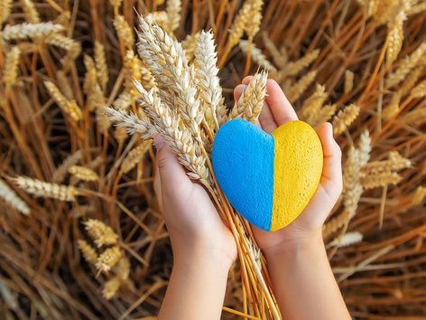 Ukraine is launching the "Grain from Ukraine" initiative to deliver grain to the poorest countries in Africa