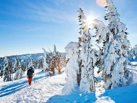 Where to go skiing in Poland? Top of the most popular ski resorts