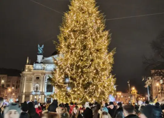 Der Hauptweihnachtsbaum von Lwiw steht bereits auf dem Platz: So wird er in dieser Saison aussehen