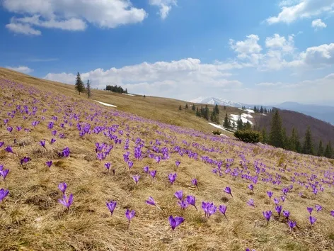 Where to go in Ukraine in spring? Top 10 tours most often chosen by foreigners