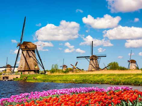 How not to lose temporary protection in the Netherlands when traveling to Ukraine