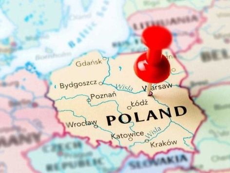 PESEL, NIP, UW, WUP: Які абревіатури потрібно знати українцям у Польщі