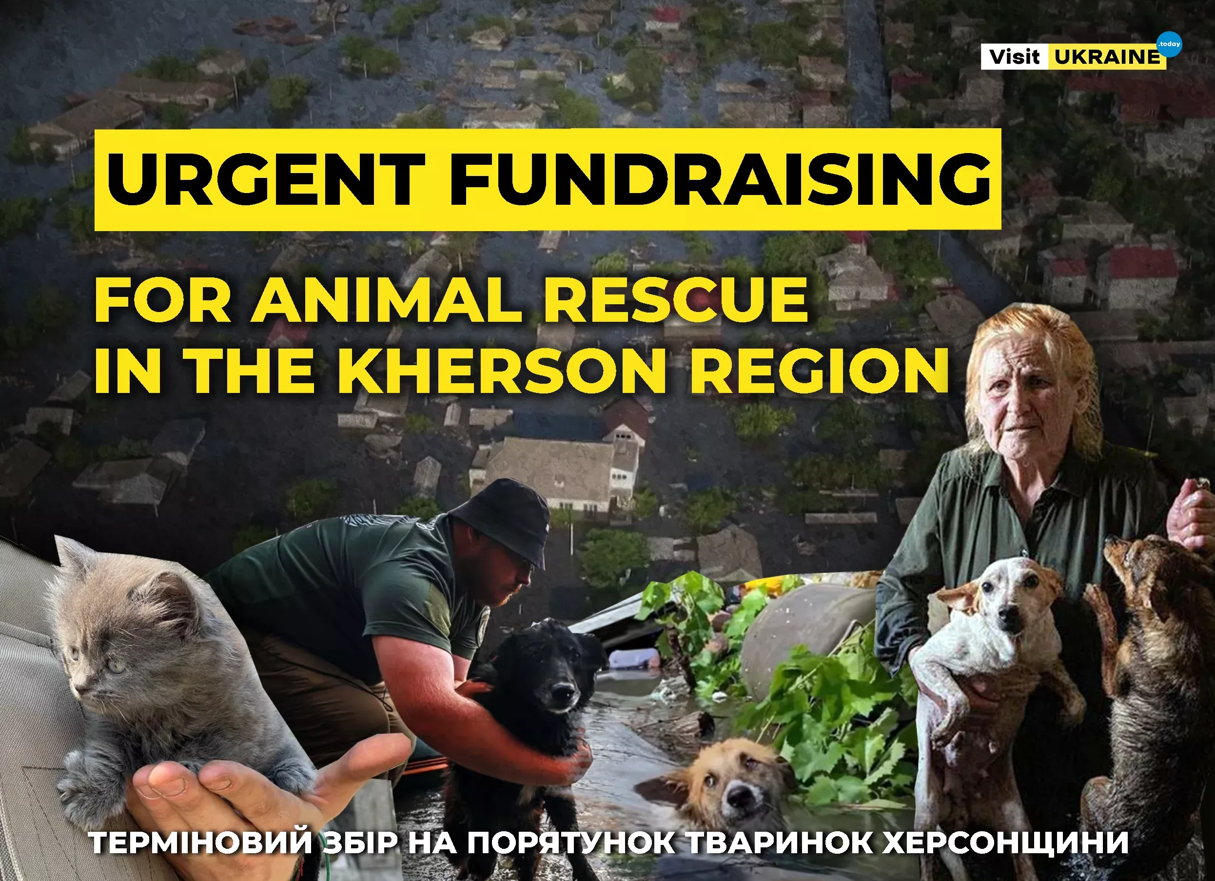Help for animals affected by the Kakhovka dam explosion: let's take a step towards rescue together!
